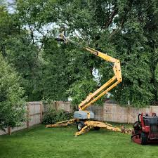 Best Pest Control for Lawns  in Lmer Heights, PA